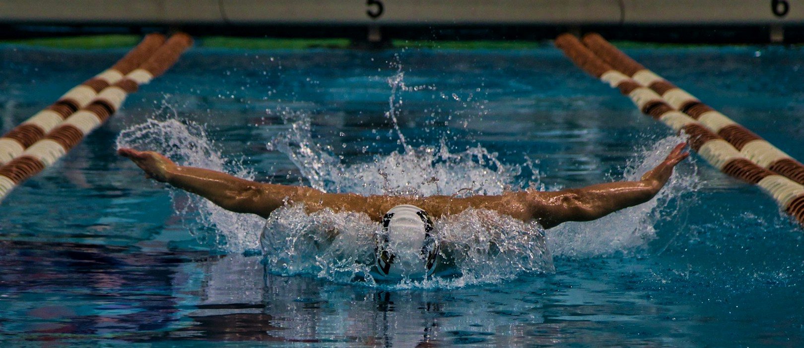 Photo qui illustre un nageur qui apprend à nager le papillon. Pour se perfectionner, contactez nous